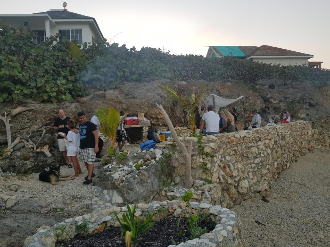 Forever Cottage Robins Bay Εξωτερικό φωτογραφία
