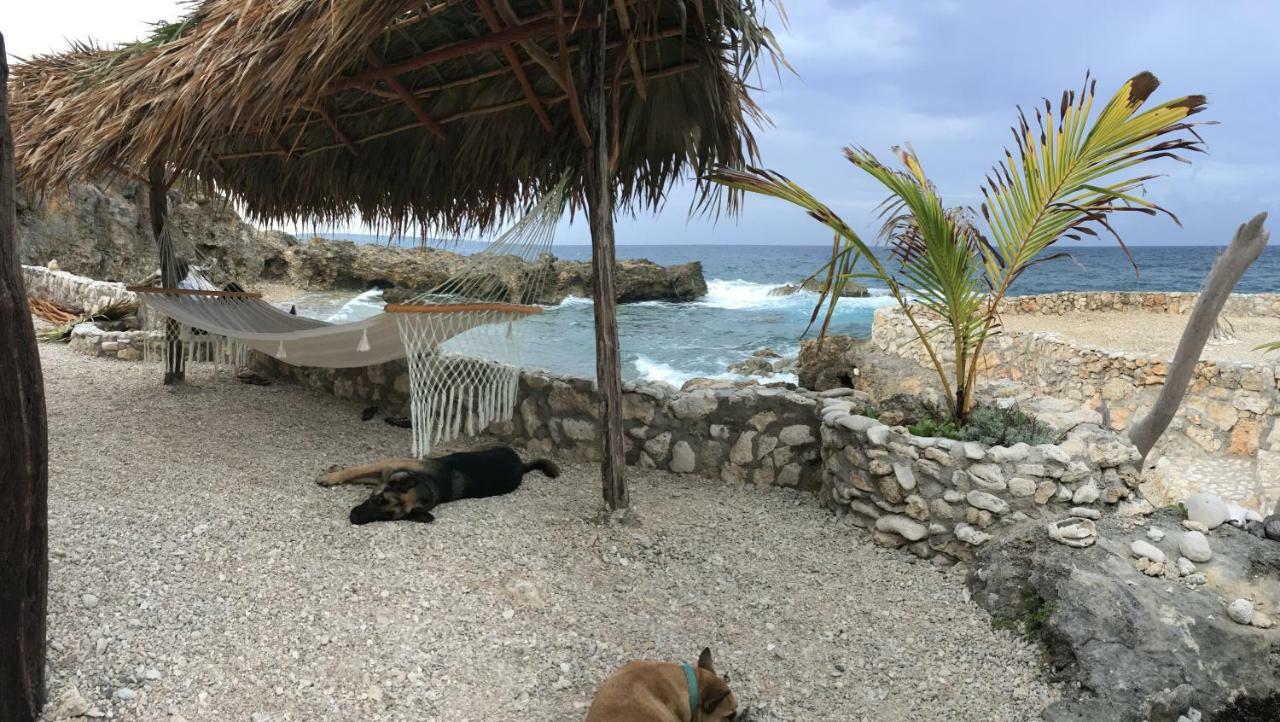 Forever Cottage Robins Bay Εξωτερικό φωτογραφία