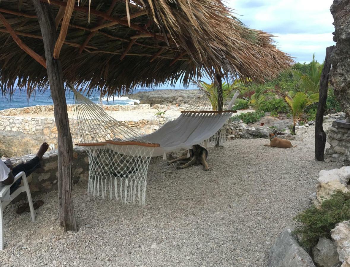 Forever Cottage Robins Bay Εξωτερικό φωτογραφία